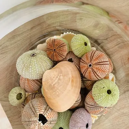 Appartement Travesia *