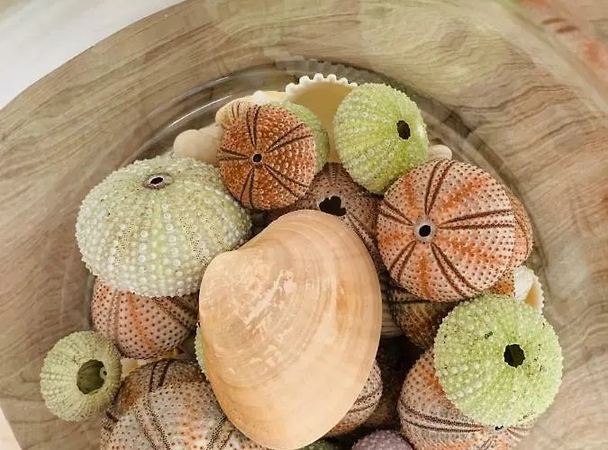 Apartmán Travesía *